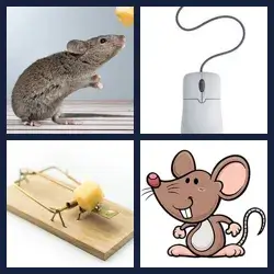4 Fotos 1 Palabra Nivel RATON