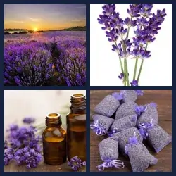 4 Fotos 1 Palabra Nivel LAVANDA