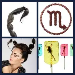 4 Fotos 1 Palabra Nivel ESCORPION