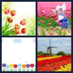 4 Fotos 1 Palabra Nivel TULIPANES