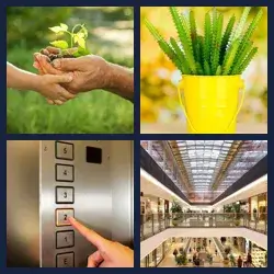 4 Fotos 1 Palabra Nivel PLANTA