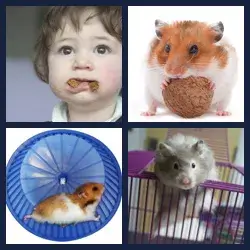 4 Fotos 1 Palabra Nivel HAMSTER