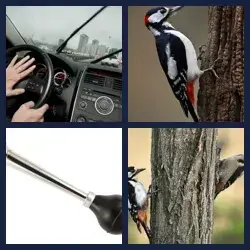 4 Fotos 1 Palabra Nivel PITO