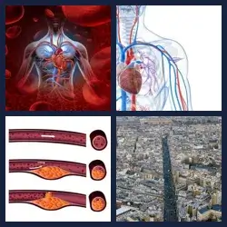 4 Fotos 1 Palabra Nivel ARTERIA