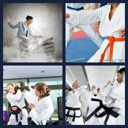4 Fotos 1 Palabra Nivel KARATE