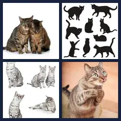 4 Fotos 1 Palabra Nivel GATOS