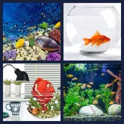 4 Fotos 1 Palabra Nivel ACUARIO