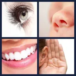 4 Fotos 1 Palabra Nivel ROSTRO