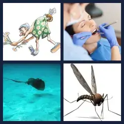4 Fotos 1 Palabra Nivel PICADURA