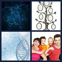 4 Fotos 1 Palabra Nivel GENETICA